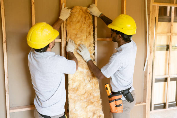 Best Insulation Inspection Services  in South Waverly, PA