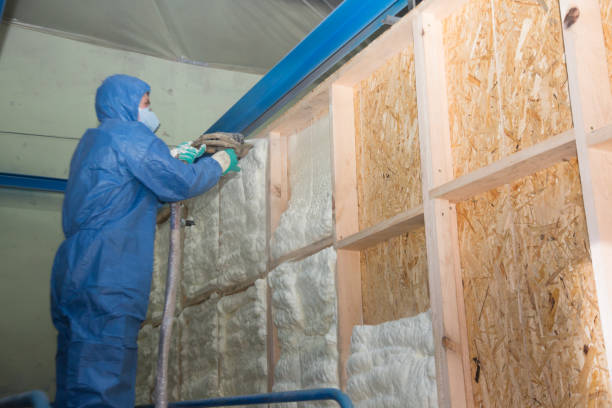 Best Blown-in Insulation  in South Waverly, PA