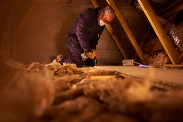 Best Fiberglass Insulation  in South Waverly, PA